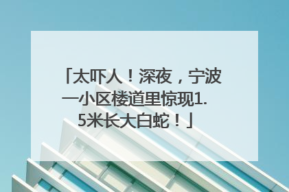 太吓人！深夜，宁波一小区楼道里惊现1.5米长大白蛇！