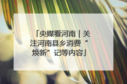 央媒看河南｜关注河南县乡消费“焕新”记等内容