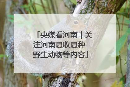 央媒看河南｜关注河南夏收夏种 野生动物等内容