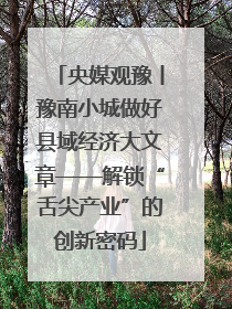 央媒观豫丨豫南小城做好县域经济大文章——解锁“舌尖产业”的创新密码