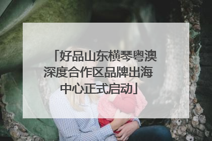 好品山东横琴粤澳深度合作区品牌出海中心正式启动