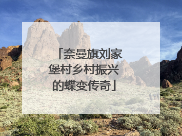 奈曼旗刘家堡村乡村振兴的蝶变传奇