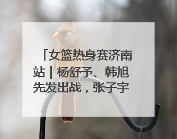 女篮热身赛济南站｜杨舒予、韩旭先发出战，张子宇替补待命