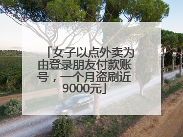 女子以点外卖为由登录朋友付款账号，一个月盗刷近9000元