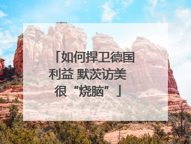 如何捍卫德国利益 默茨访美很“烧脑”
