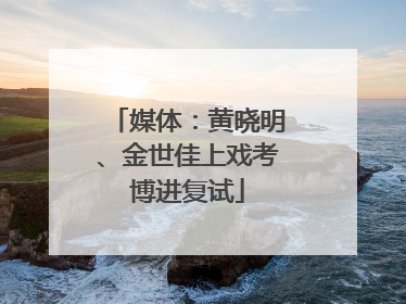 媒体：黄晓明、金世佳上戏考博进复试