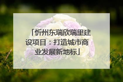 忻州东瑞欣瑞里建设项目：打造城市商业发展新地标