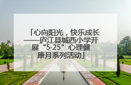 心向阳光，快乐成长——庐江县城西小学开展“5·25”心理健康月系列活动