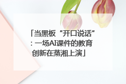 当黑板“开口说话”：一场AI课件的教育创新在蒸湘上演