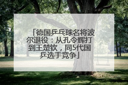德国乒乓球名将波尔退役：从孔令辉打到王楚钦，同5代国乒选手竞争