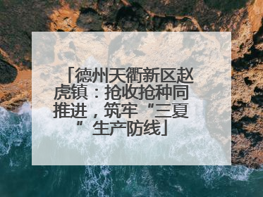 德州天衢新区赵虎镇：抢收抢种同推进，筑牢“三夏”生产防线