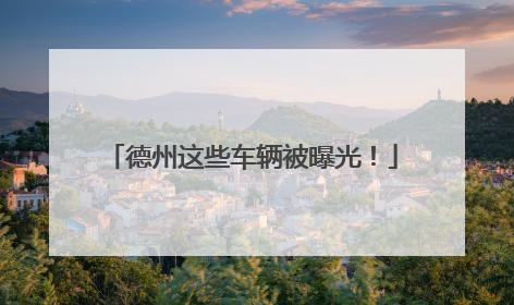 德州这些车辆被曝光！