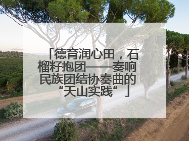 德育润心田，石榴籽抱团——奏响民族团结协奏曲的“天山实践”