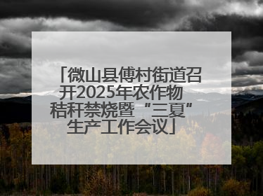 微山县傅村街道召开2025年农作物秸秆禁烧暨“三夏”生产工作会议