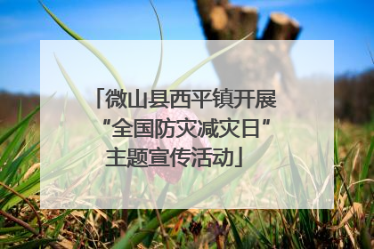 微山县西平镇开展“全国防灾减灾日”主题宣传活动