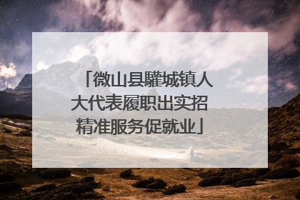 微山县驩城镇人大代表履职出实招精准服务促就业
