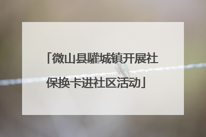 微山县驩城镇开展社保换卡进社区活动