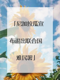 尼加拉瓜宣布退出联合国难民署