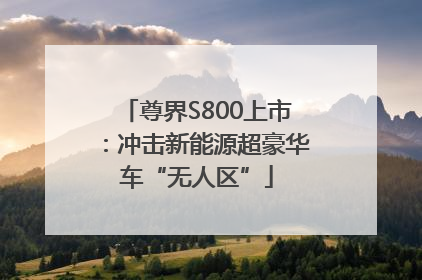尊界S800上市：冲击新能源超豪华车“无人区”