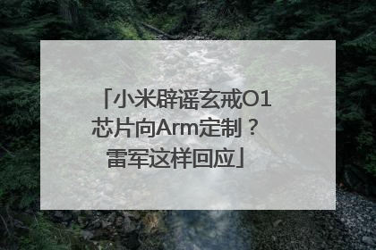 小米辟谣玄戒O1芯片向Arm定制？雷军这样回应