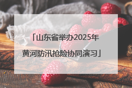 山东省举办2025年黄河防汛抢险协同演习