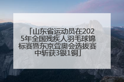 山东省运动员在2025年全国残疾人羽毛球锦标赛暨东京聋奥会选拔赛中斩获3银1铜