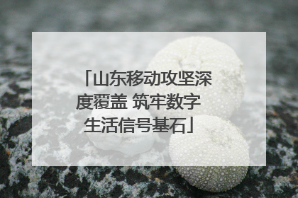 山东移动攻坚深度覆盖 筑牢数字生活信号基石
