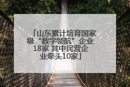 山东累计培育国家级“数字领航”企业18家 其中民营企业牵头10家