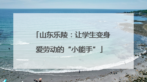 山东乐陵：让学生变身爱劳动的“小能手”