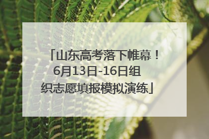 山东高考落下帷幕！6月13日-16日组织志愿填报模拟演练