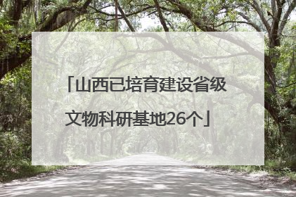 山西已培育建设省级文物科研基地26个