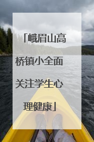 峨眉山高桥镇小全面关注学生心理健康
