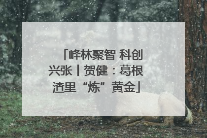 峰林聚智 科创兴张丨贺健：葛根渣里“炼”黄金