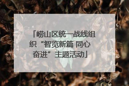 崂山区统一战线组织“智览新篇 同心奋进”主题活动