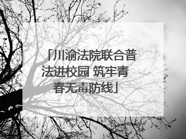 川渝法院联合普法进校园 筑牢青春无毒防线
