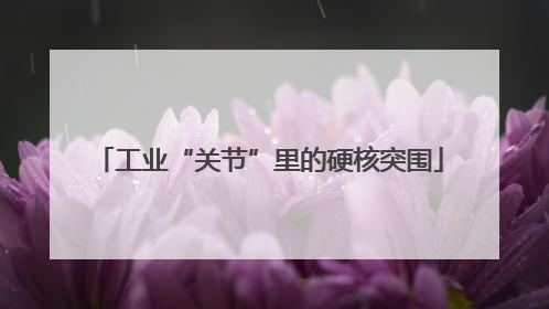 工业“关节”里的硬核突围