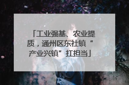 工业强基、农业提质，通州区东社镇“产业兴镇”扛担当