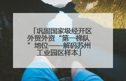巩固国家级经开区外贸外资“第一梯队”地位——解码苏州工业园区样本