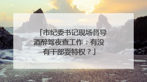 市纪委书记现场督导酒醉驾夜查工作：有没有干部耍特权？