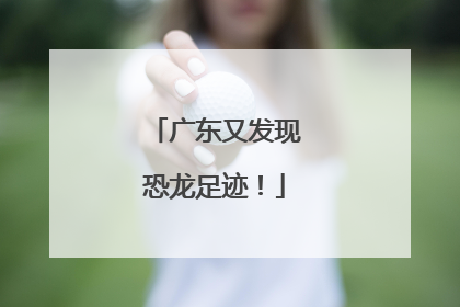 广东又发现恐龙足迹！