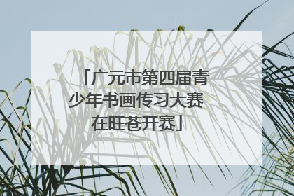 广元市第四届青少年书画传习大赛在旺苍开赛