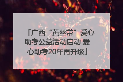 广西“黄丝带”爱心助考公益活动启动 爱心助考20年再升级