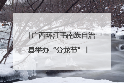 广西环江毛南族自治县举办“分龙节”