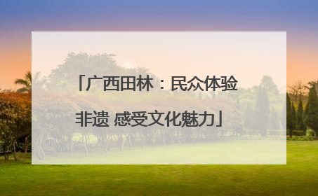 广西田林：民众体验非遗 感受文化魅力