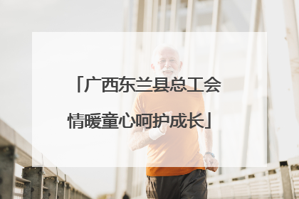 广西东兰县总工会情暖童心呵护成长