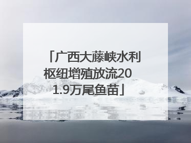 广西大藤峡水利枢纽增殖放流201.9万尾鱼苗