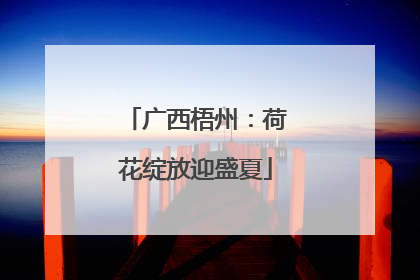 广西梧州：荷花绽放迎盛夏