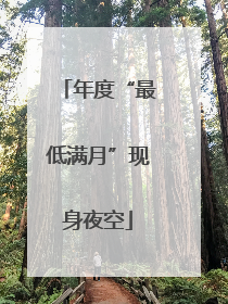 年度“最低满月”现身夜空