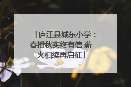 庐江县城东小学：春播秋实终有信 薪火相续再启征