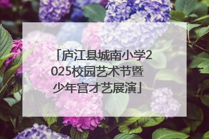 庐江县城南小学2025校园艺术节暨少年宫才艺展演